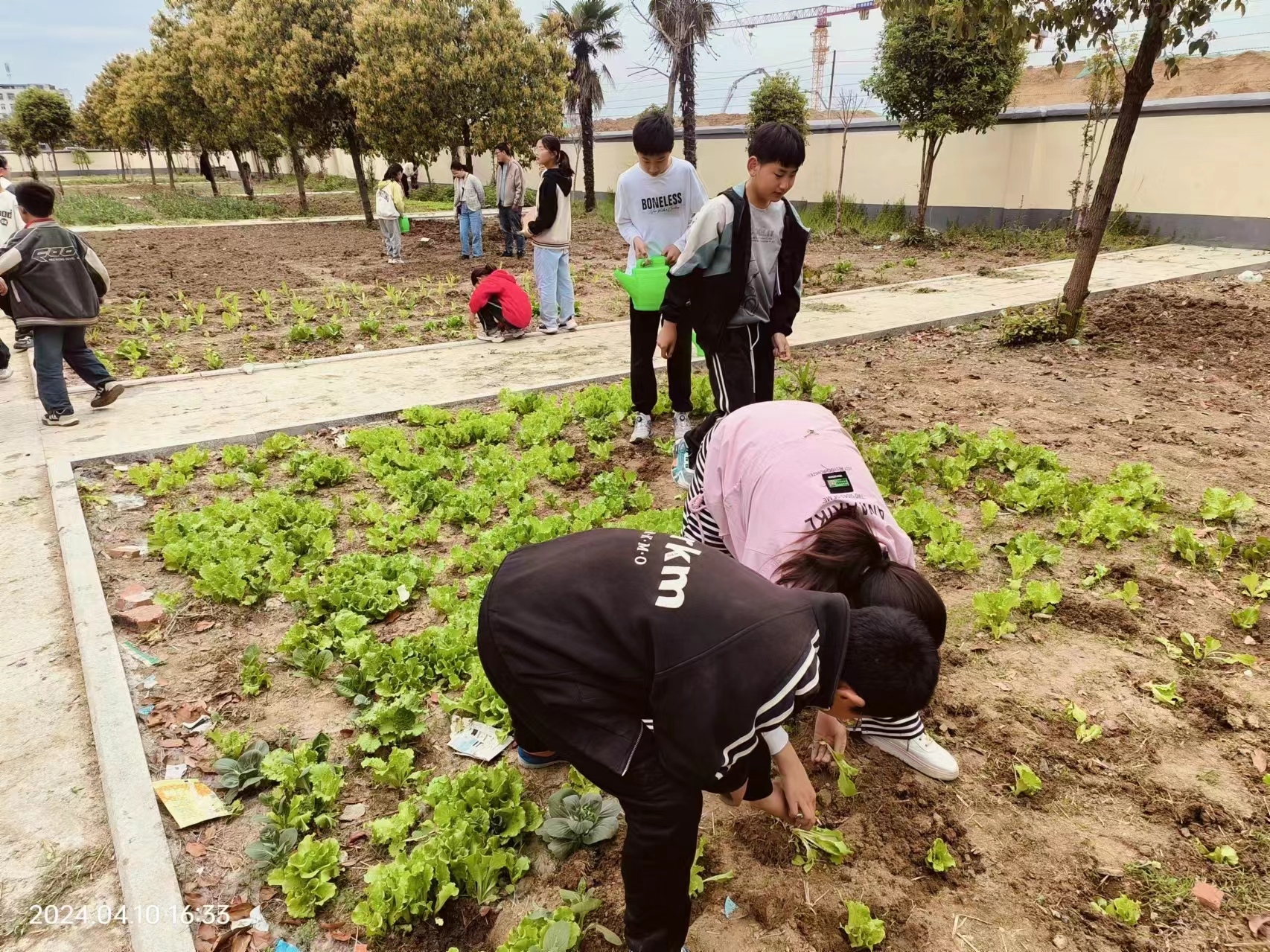 医药希望学校留守儿童实践活动